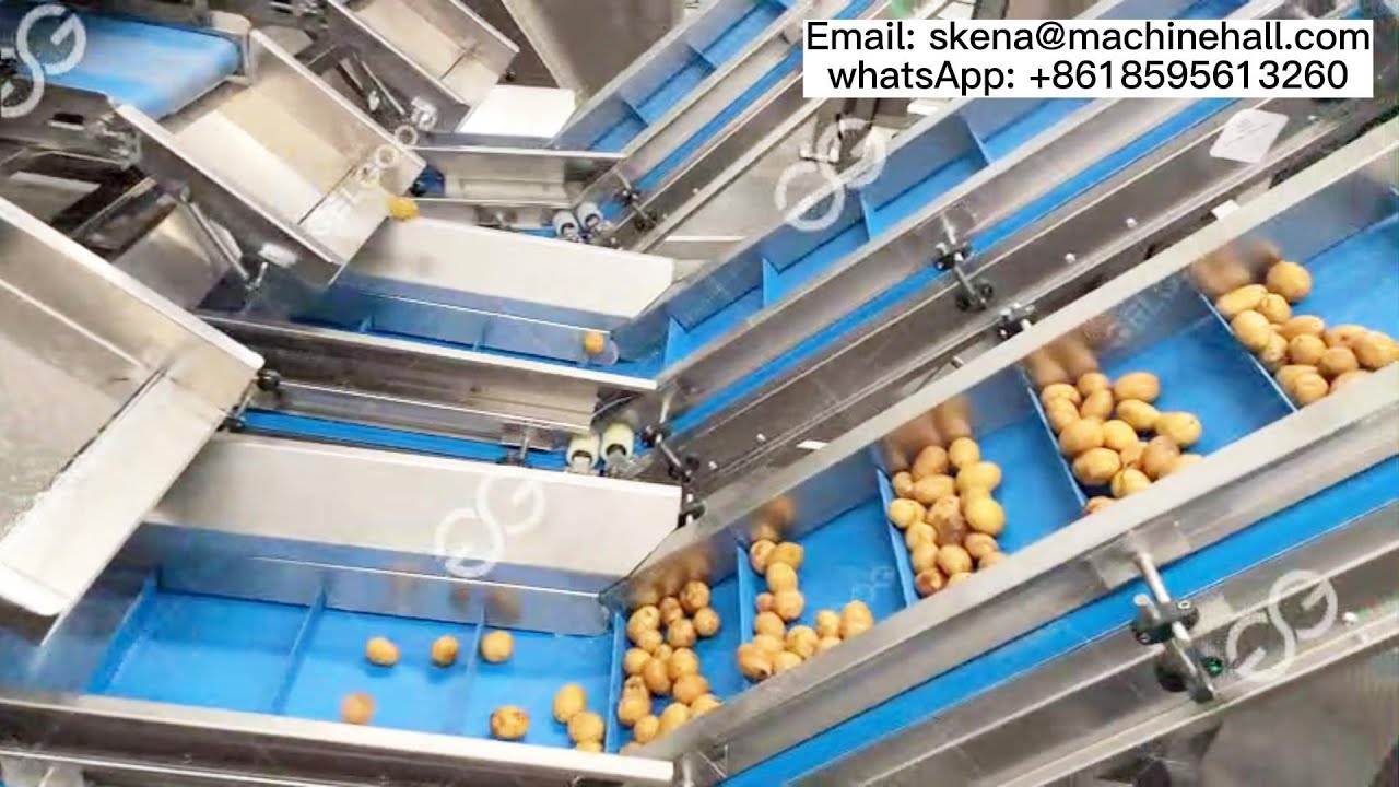 Gelgoog Potato Washing Drying Grading Processing Line - Simple And Efficient