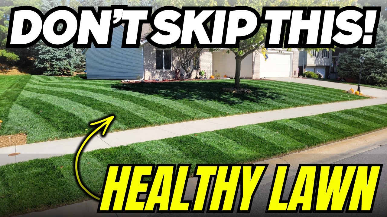Potassium Is The ULTIMATE Nutrient For Lawn Health #diylawncare