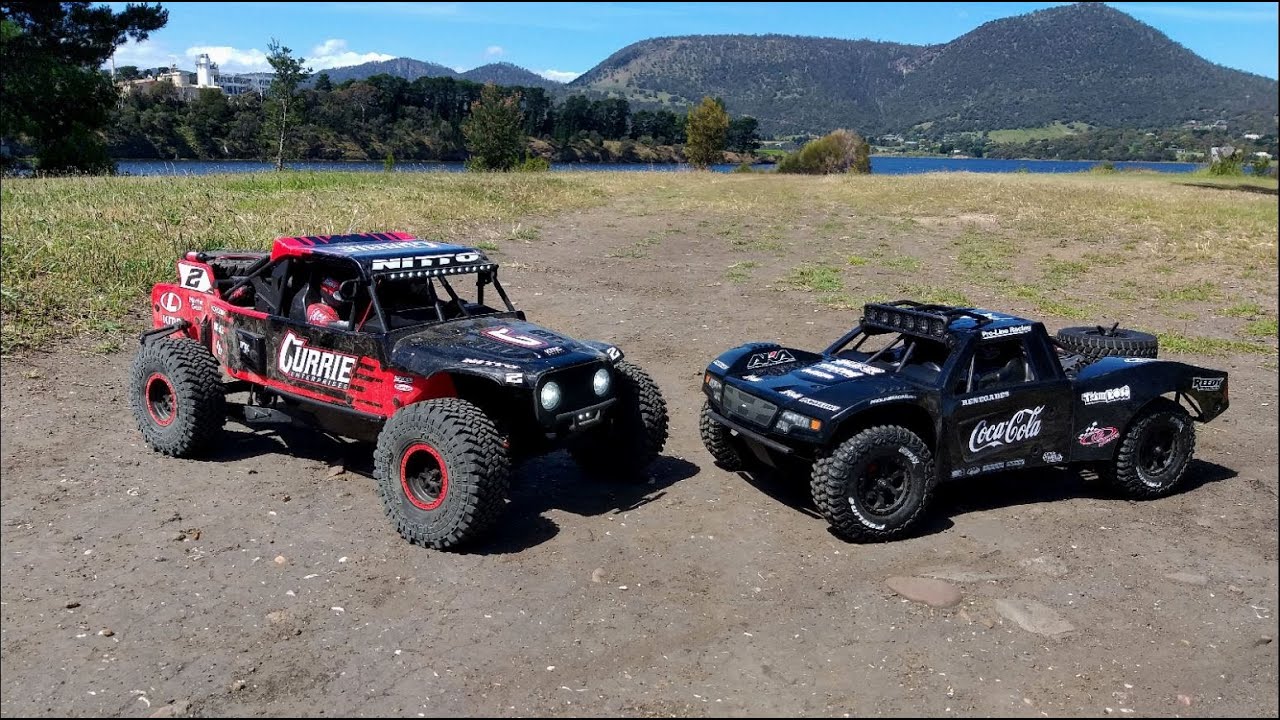 Hammer and Baja Rey