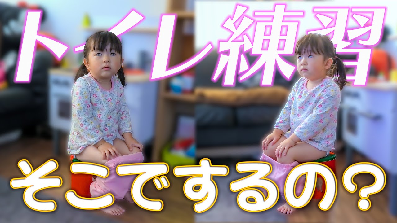 トイレトレーニングに向けて、練習を始めたゴロちゃん♪ 【生後2年8ヶ月/Vlog】