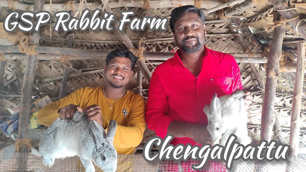 GSP Rabbit Farm  | Chengalpattu | 10 Type of Rabbits Available | It's Me Udhu | Tamil | 2022