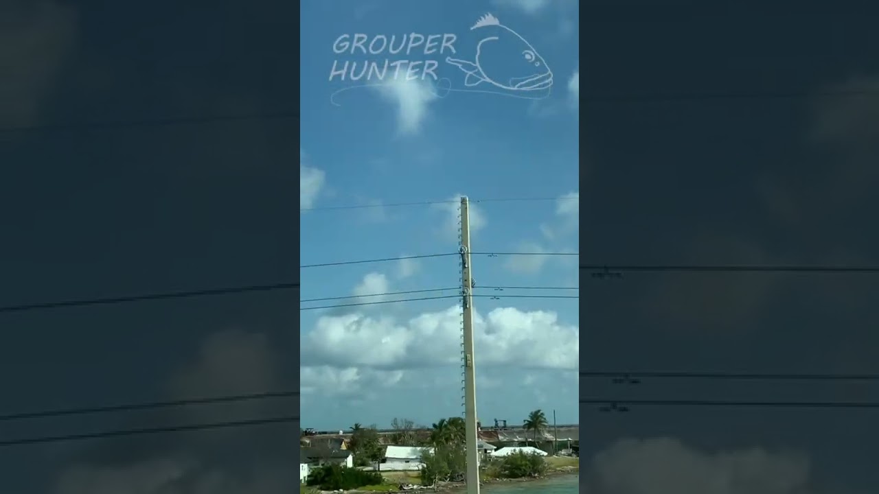 Driving on the 7 Mile Bridge and seeing Pigeon Key in the Florida Keys