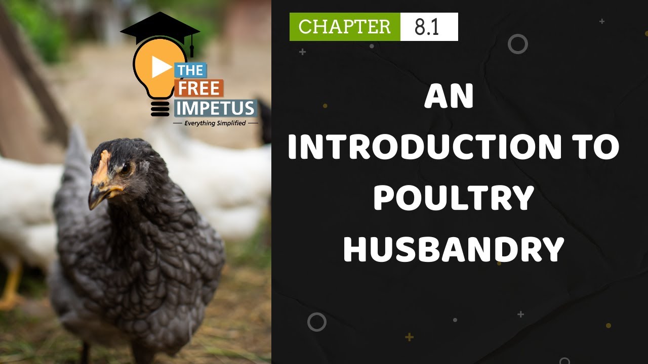 8.1 AN INTRODUCTION TO POULTRY HUSBANDRY- FOR VHSE LSM 2ND YEAR STUDENTS, LIVESTOCK INSPECTOR PSC