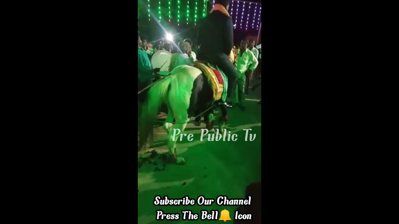 భలే మంచి రోజు పాట గుర్రం ఆట || భాషా గారి గుర్రం గుంటూరు జిల్లా || HORSE DANCE GUNTUR DISTRICT || HD