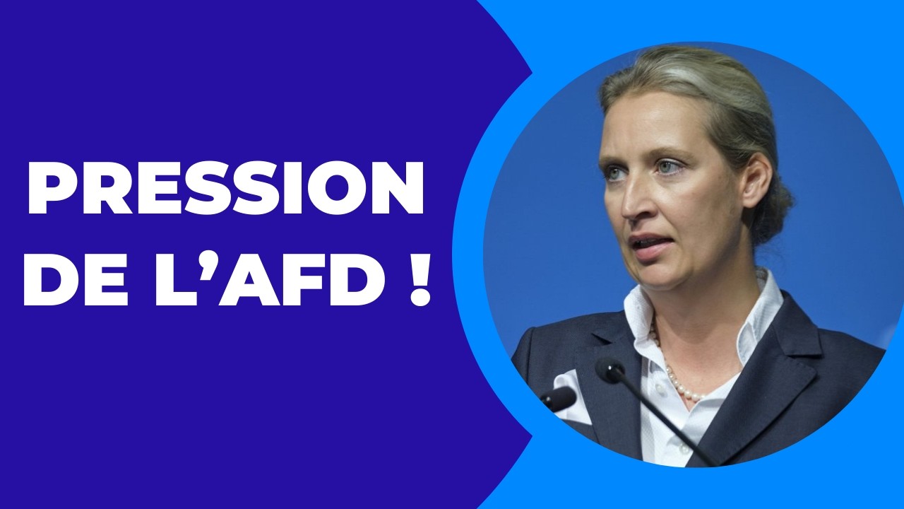Démissions massives d’ONG de gauche après des critiques de l’AfD, Campact implore sa survie !