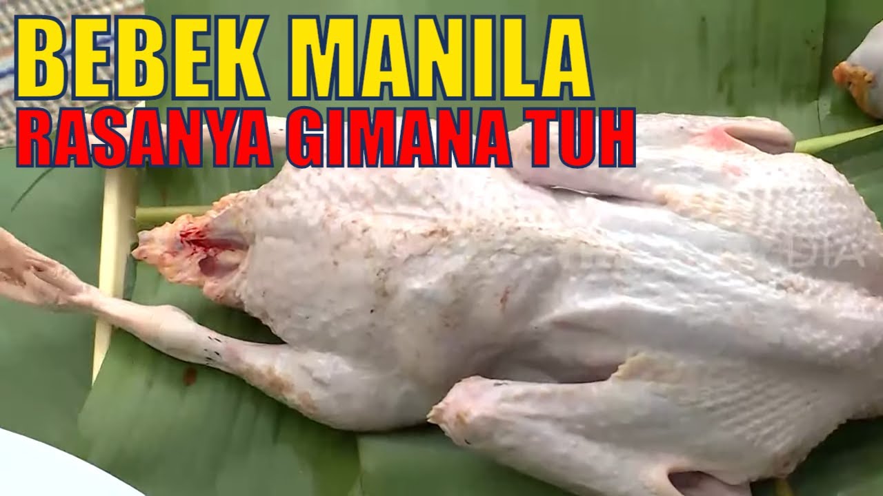 Pedesan Entog Olahan dari Bebek Manila Khas Indramayu | RAGAM INDONESIA (11/03/20)