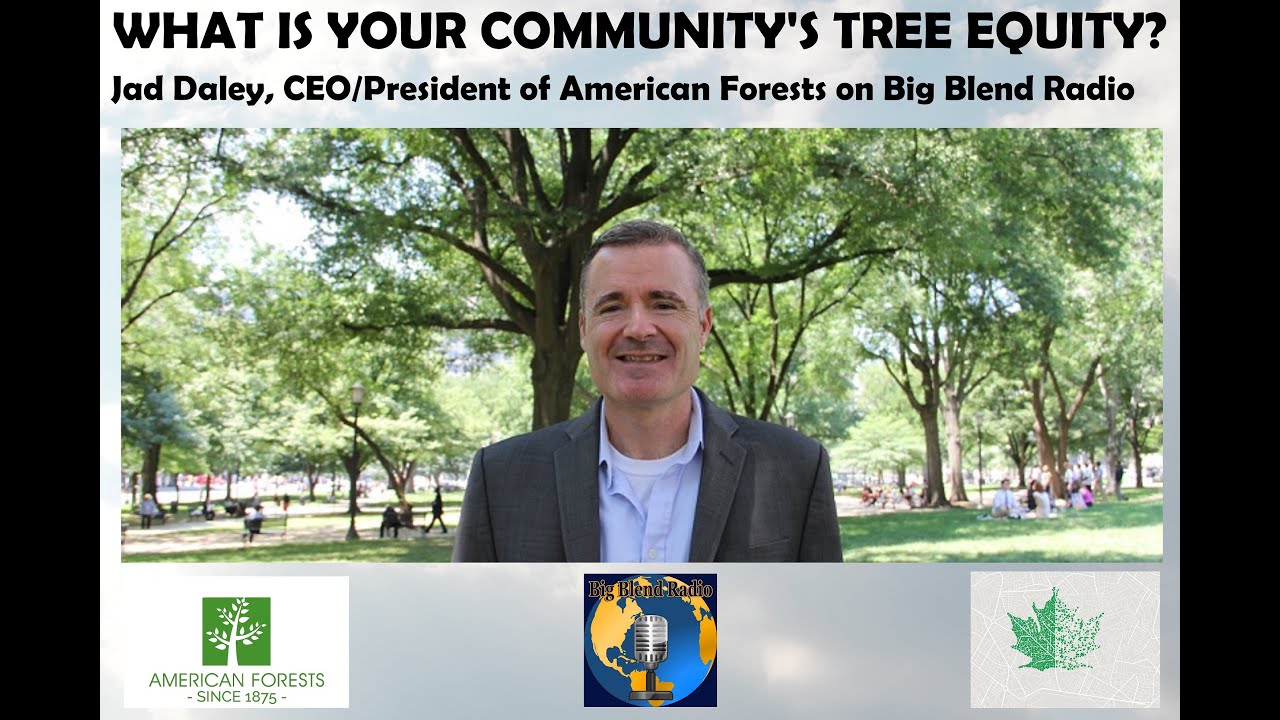 What is Your Community's Tree Equity? Jad Daley on Big Blend Radio