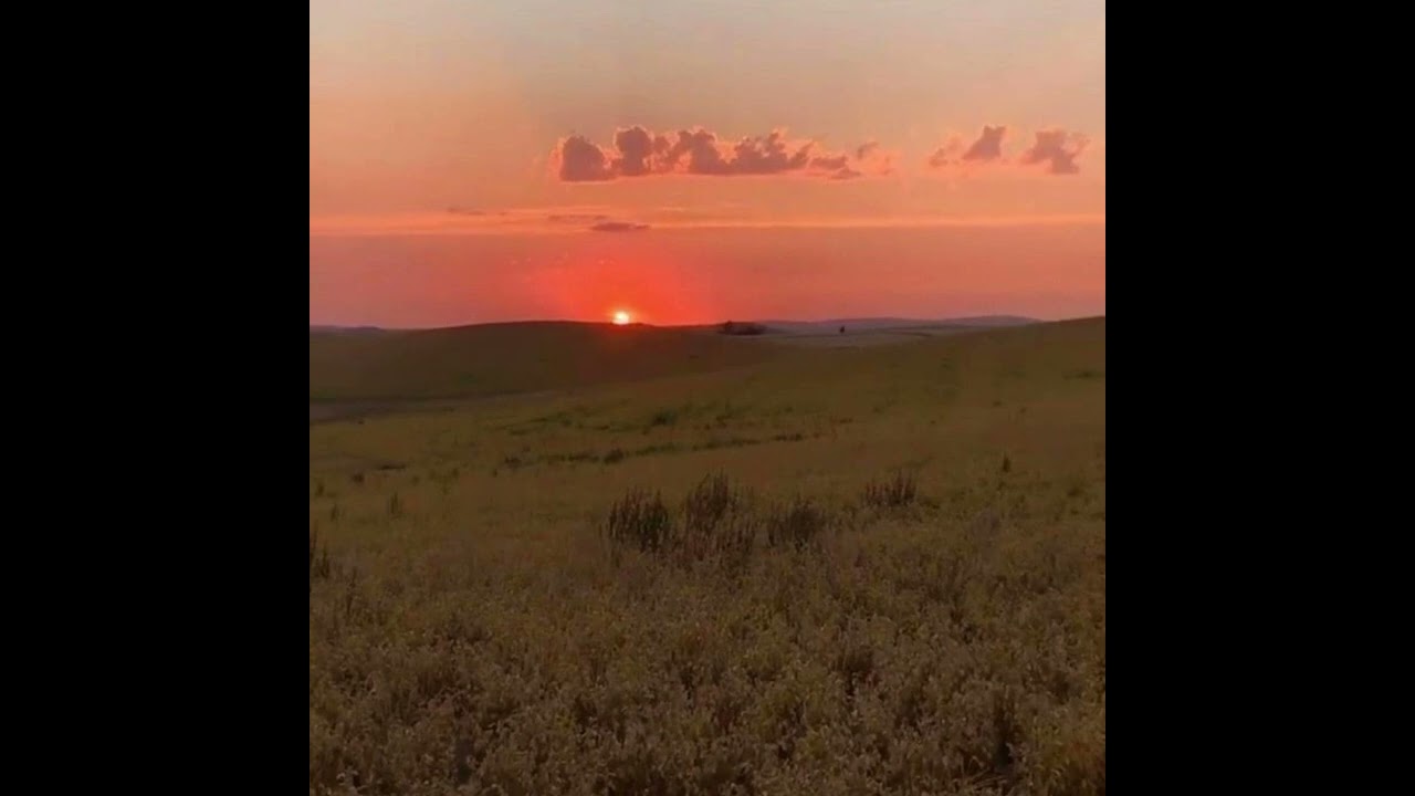 пьяное солнце (speed up)❤️&zwj;🩹🌞