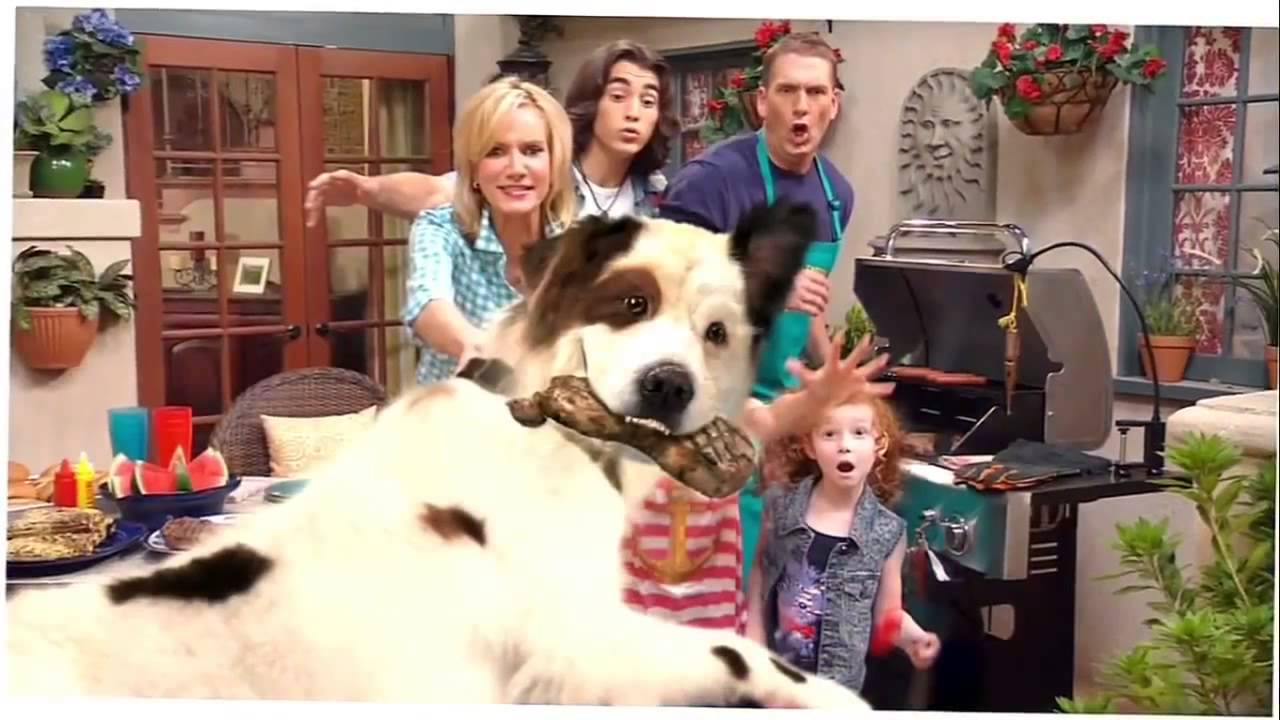 Stan , El Perro Bloguero ( Dog With A Blog ) Intro HD