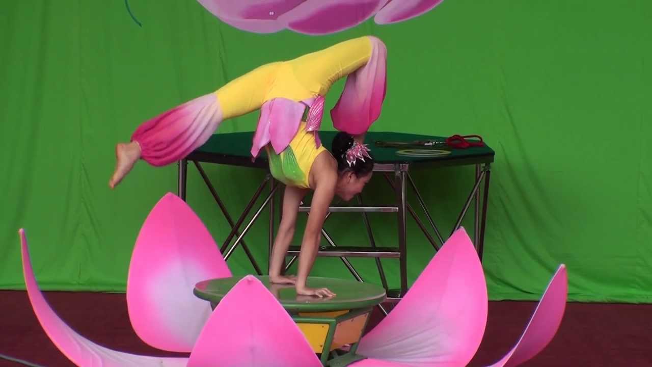 Vietnam Circus 2010 No.5 : Contortion