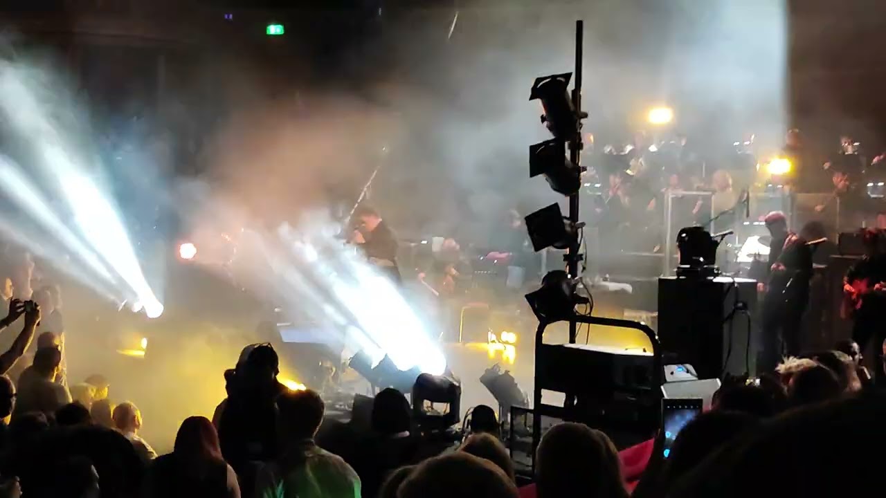 Echo & The Bunnymen - Nocturnal Me ( Live in London at  Royal Albert Hall)