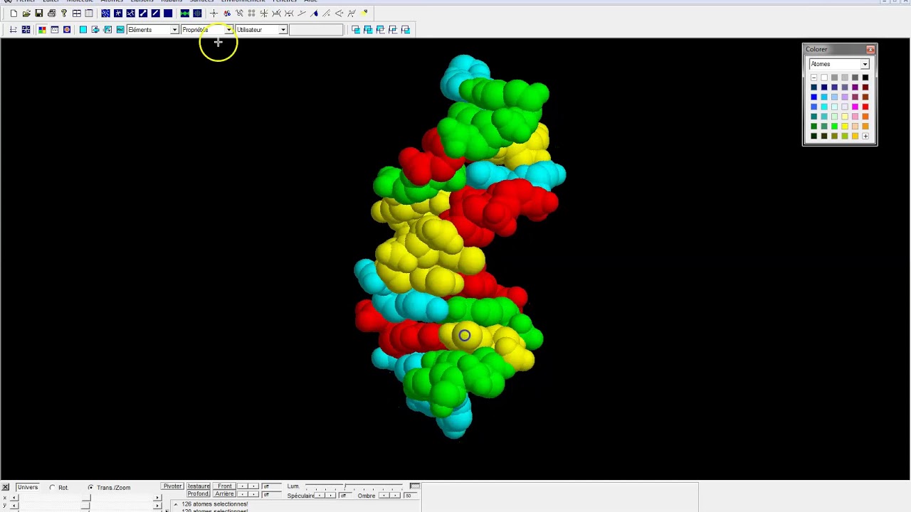 [eSVT] Tutoriel Rastop : déterminer la structure de l'ADN
