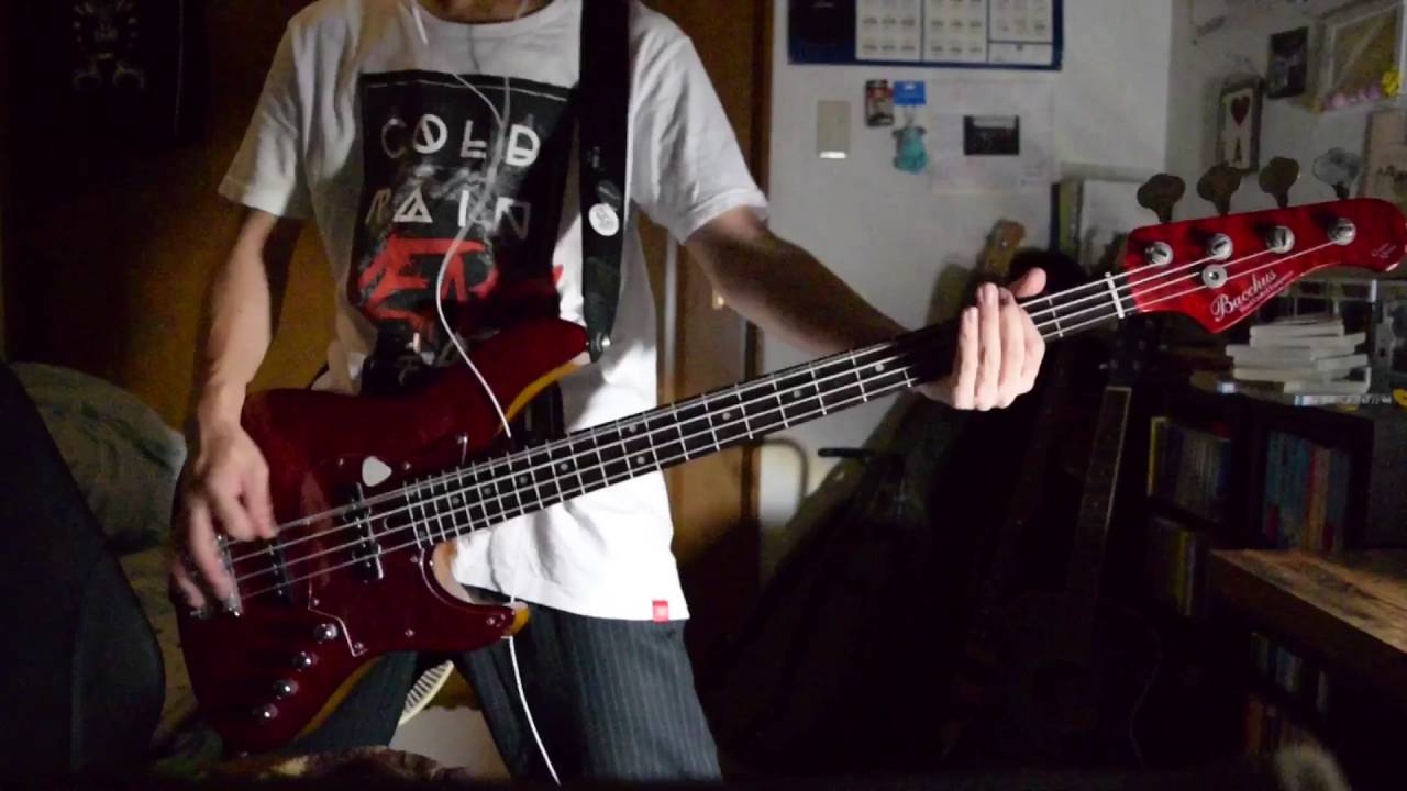 coldrain-Final destination [Bass cover]