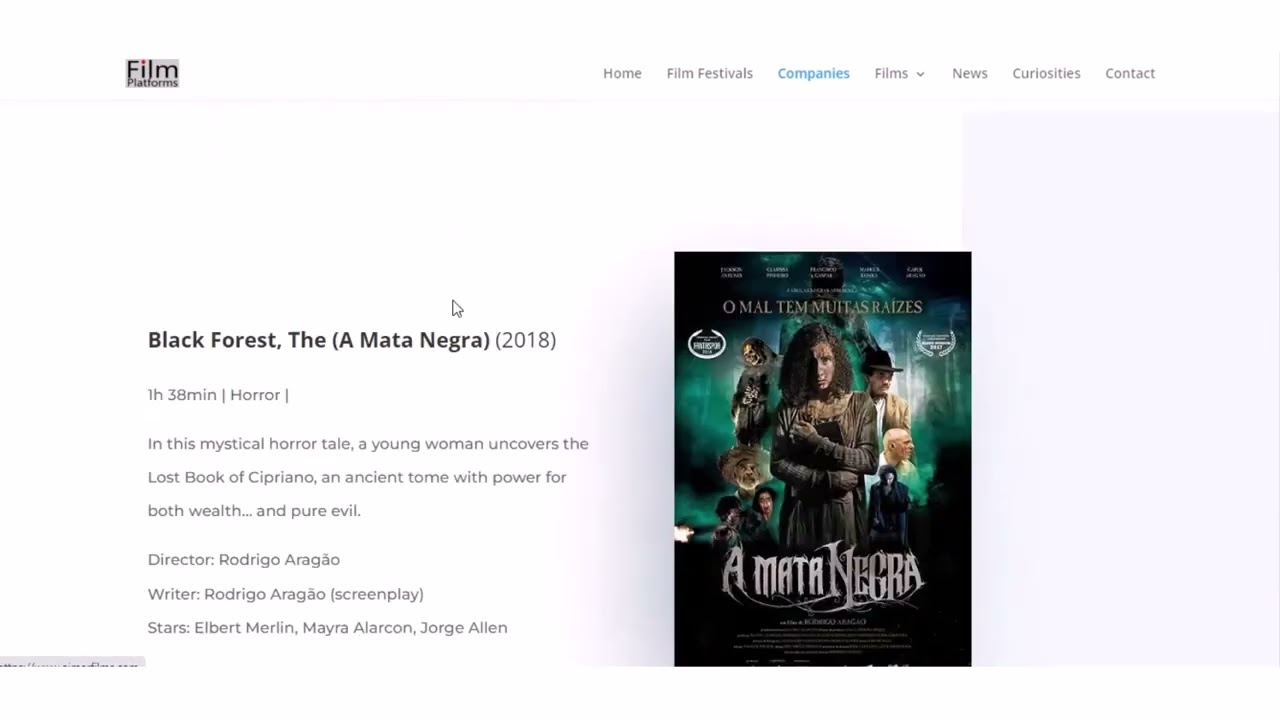 Film Platforms, companies