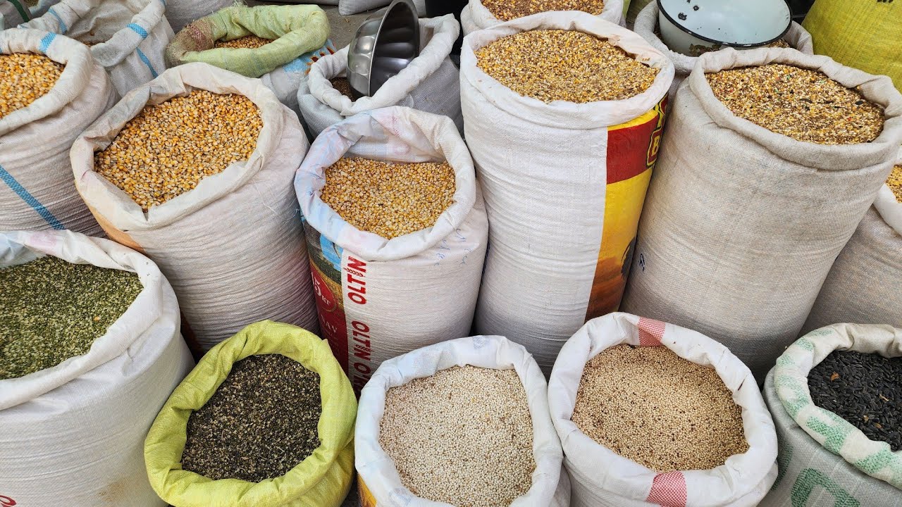 MAKKA, BUG'DOY, SULI, ARPA,RO'SH. YEM NARXLARI.  BOG'DOD DEHQON BOZORI. 