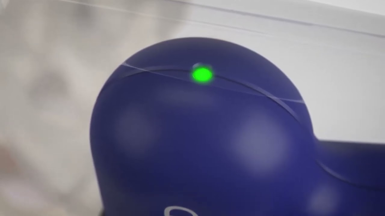 Bone Marrow Procedural