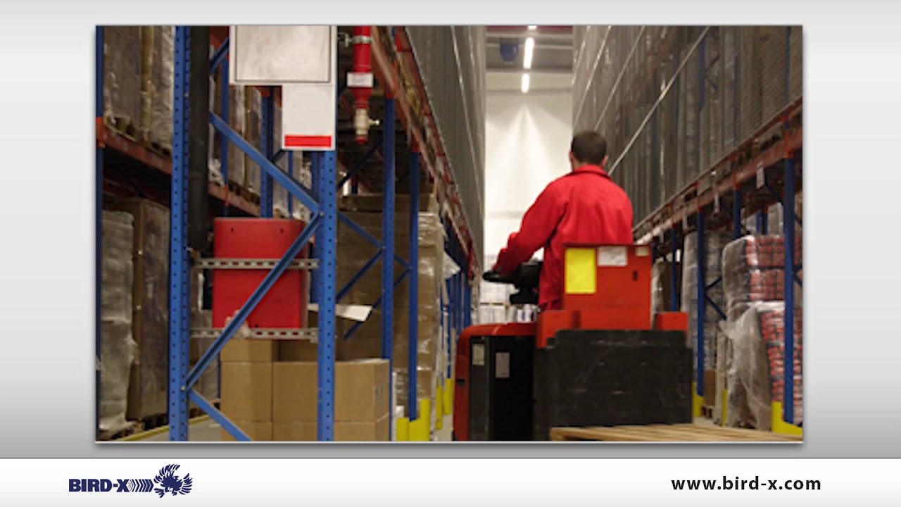Bird X Bird BLazer Product video