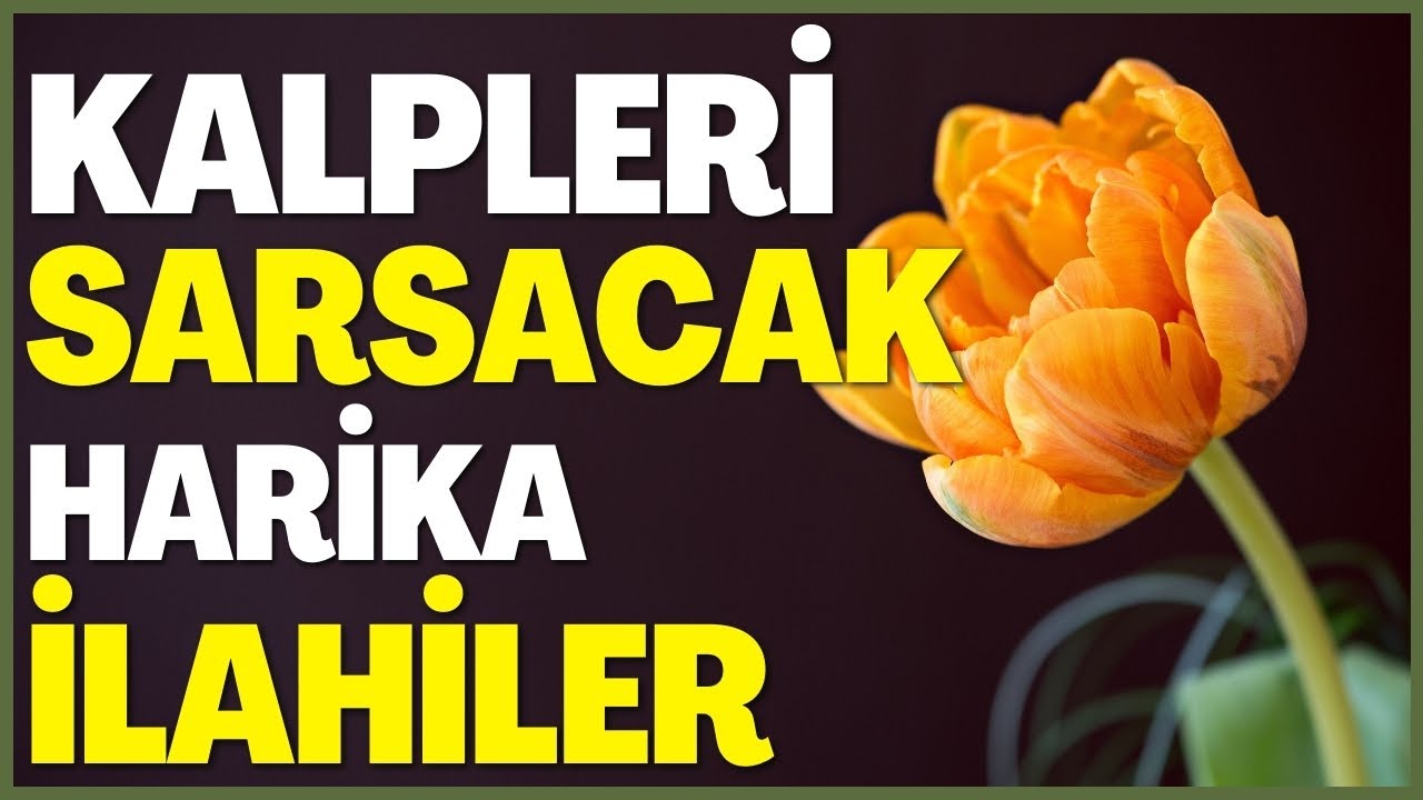 KALPLERİ SARSACAK HARİKA İLAHİLER