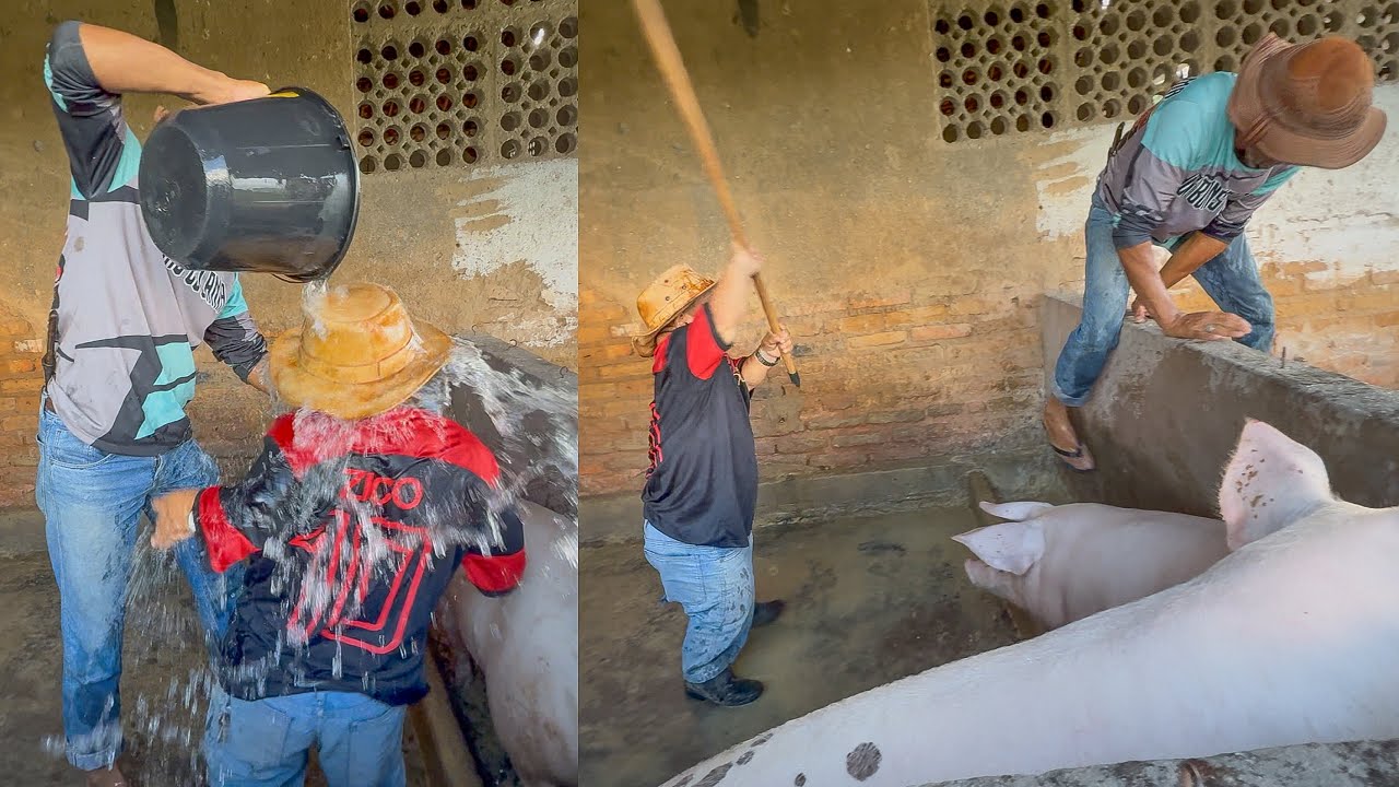 VAQUEIRO JOGA ÁGUA EM PILILIU NO CHIQUEIRO DOS PORCOS E FICA FURIOSO 🤣| PILILIU DA RESENHA