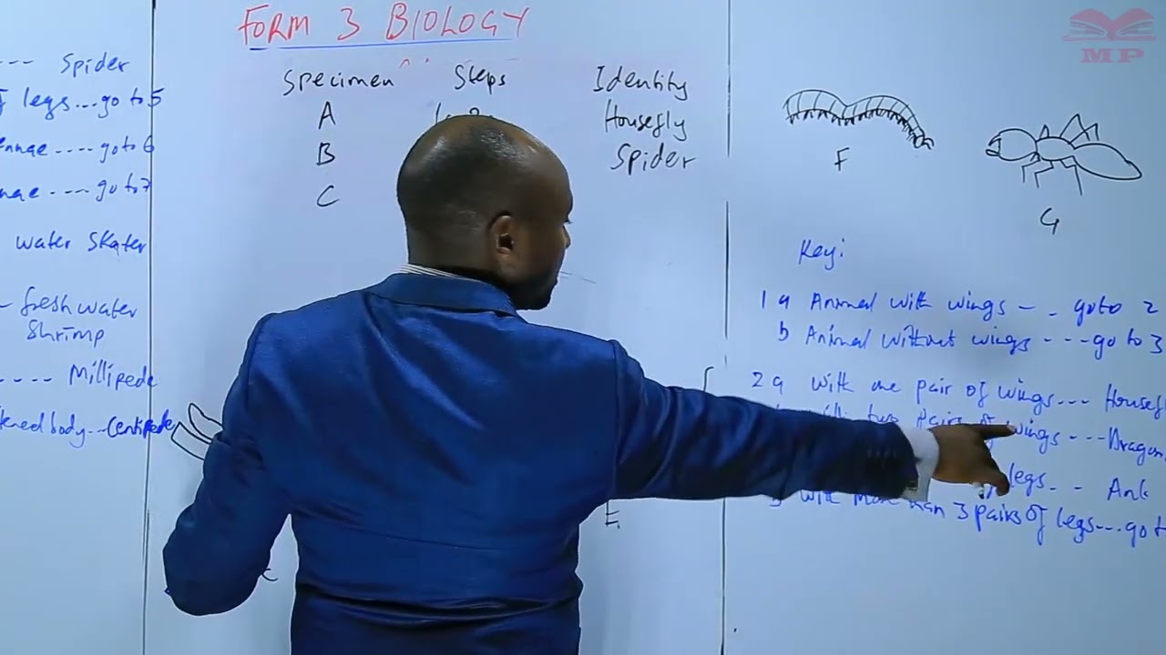 Using a Dichotomus Key to Identify Animal Specimens_L32