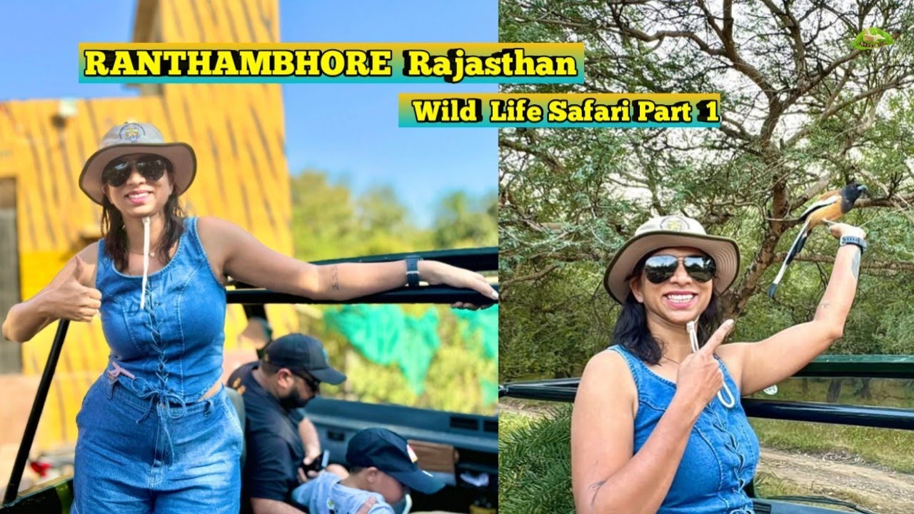 RANTHAMBHOR Wild life Safari Part 1