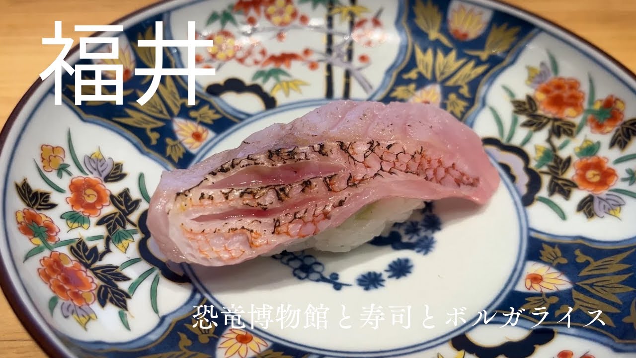 【絶好の旅行日和】恐竜博物館を訪れ、ご当地グルメのボルガライスとソースカツ丼を味わい、福井の魅力に取り憑かれた１日！