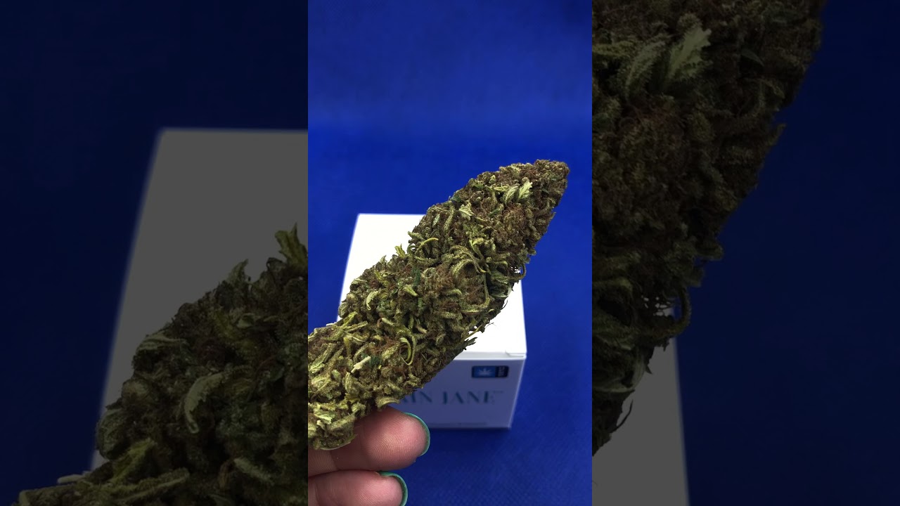 Hawaiian Haze CBD Hemp Flower