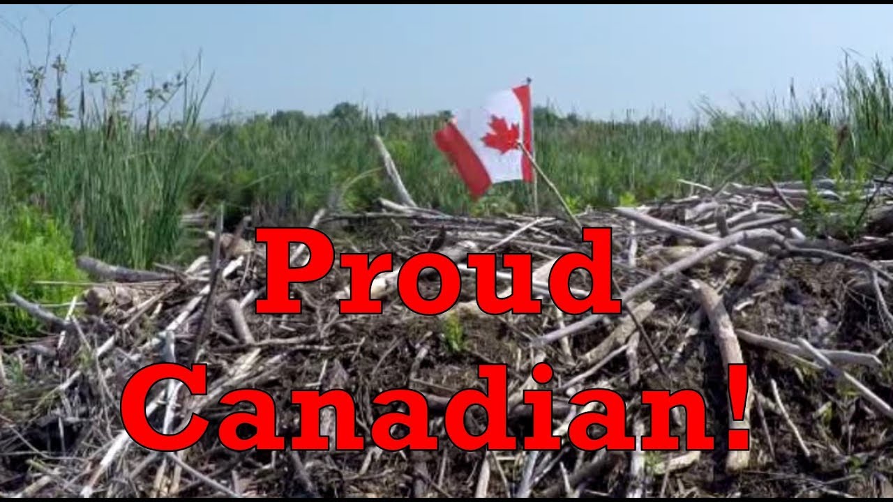 Happy Canada Day from Beaver Lake, Erinsville, Ontario