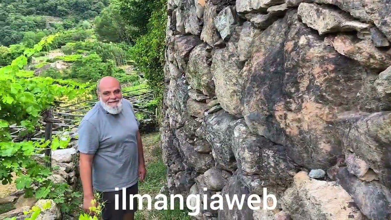 Veduta alta di Carema. Il Carema Doc &eacute; il blend di tutte le zone vinicole in Carema @ilmangiaweb