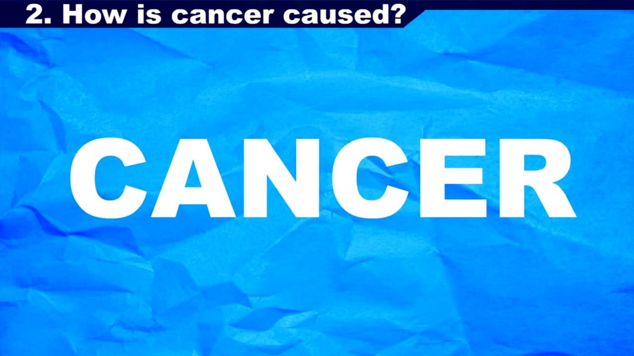 Danger Dolan's Cancer Can-Can Song [CLIP]