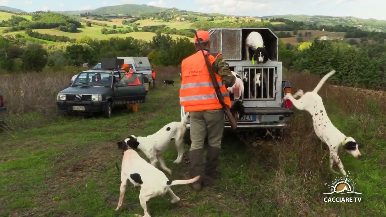 Caccia al Cinghiale 