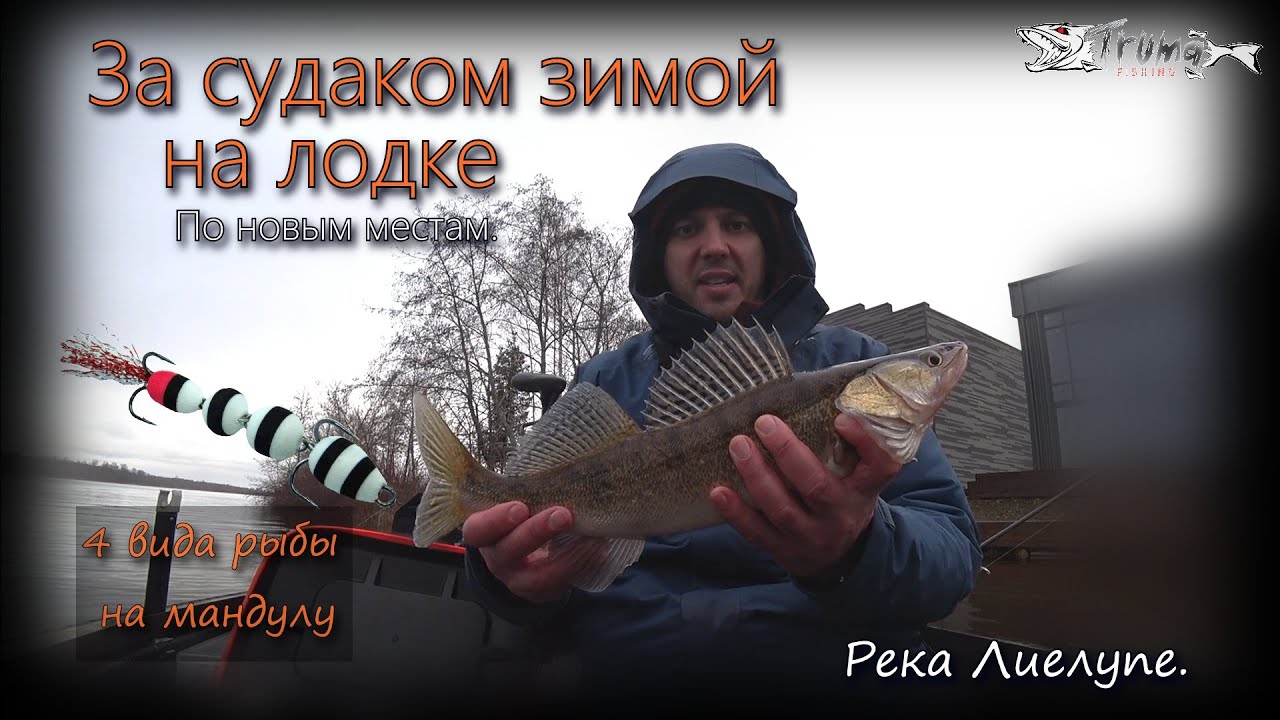 За судаком зимой на лодке. 4 вида рыбы на мандулу!!!