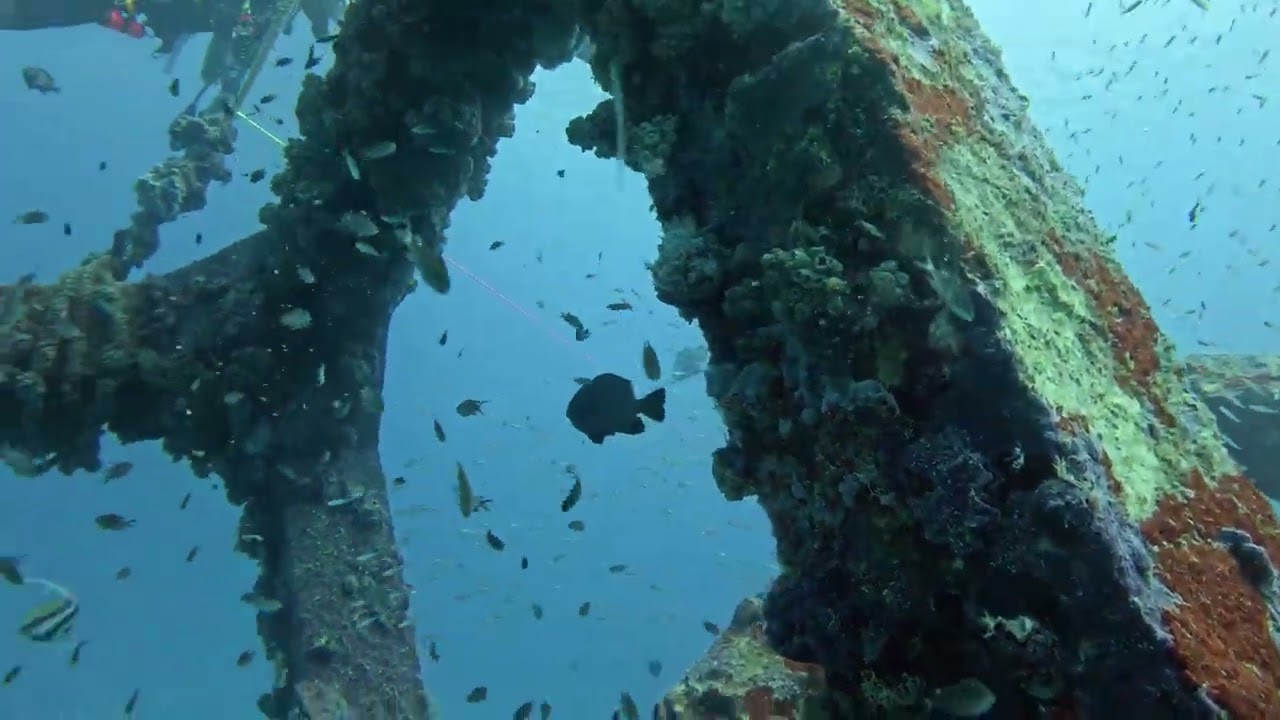 Return to Okinawa, July 2025, crystal blue persuasion charters, Captain Mark Kane 