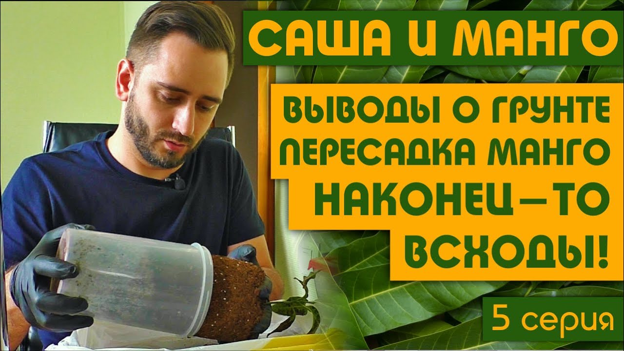Почему начинаю менять грунт? Первые всходы за 2 месяца! 5 серия.