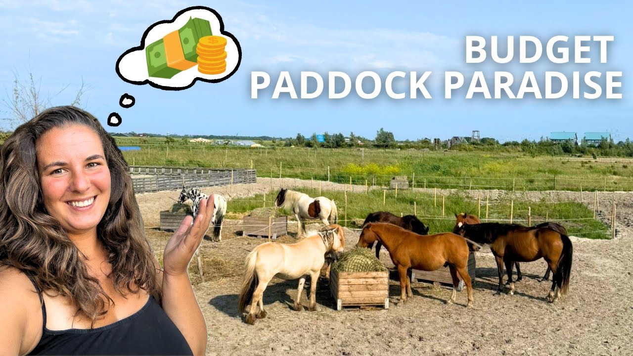 Wat KOST mijn PADDOCK PARADISE? | Happy Horsemanship