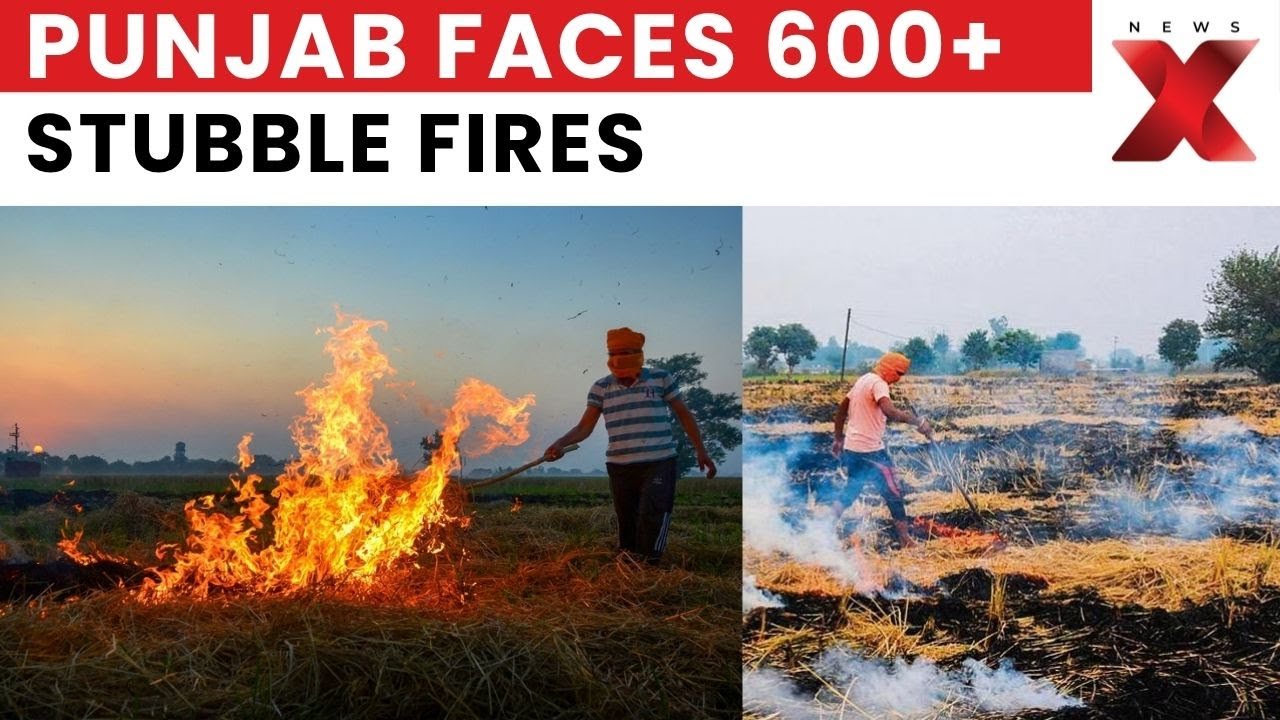 Punjab Parali Burning: 600+ Farm Fire Cases Reported, Key Hotspots Revealed | NewsX