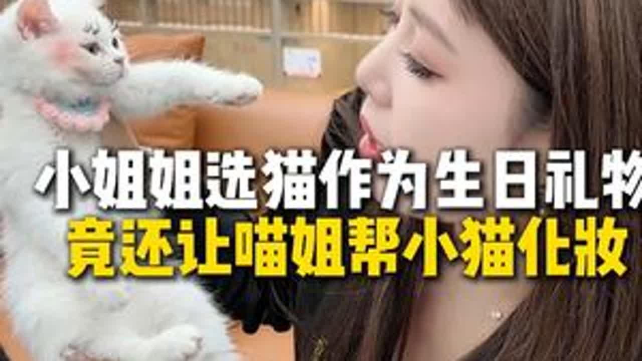 应粉丝要求，给小猫咪化个美美的妆！#猫咪  #化妆  #搞笑  #喵姐养猫  #哈基米