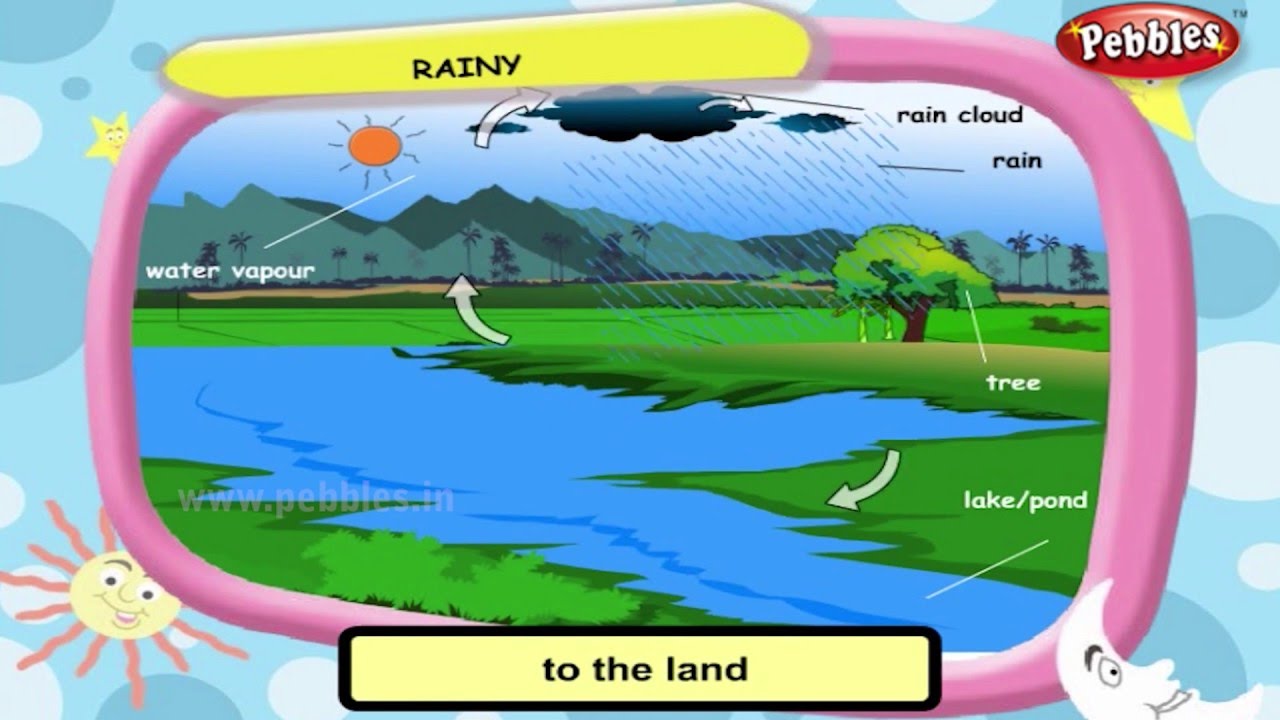 Science For Class 3 : Weather and Seasons | Science Videos For Kids | Science Projects