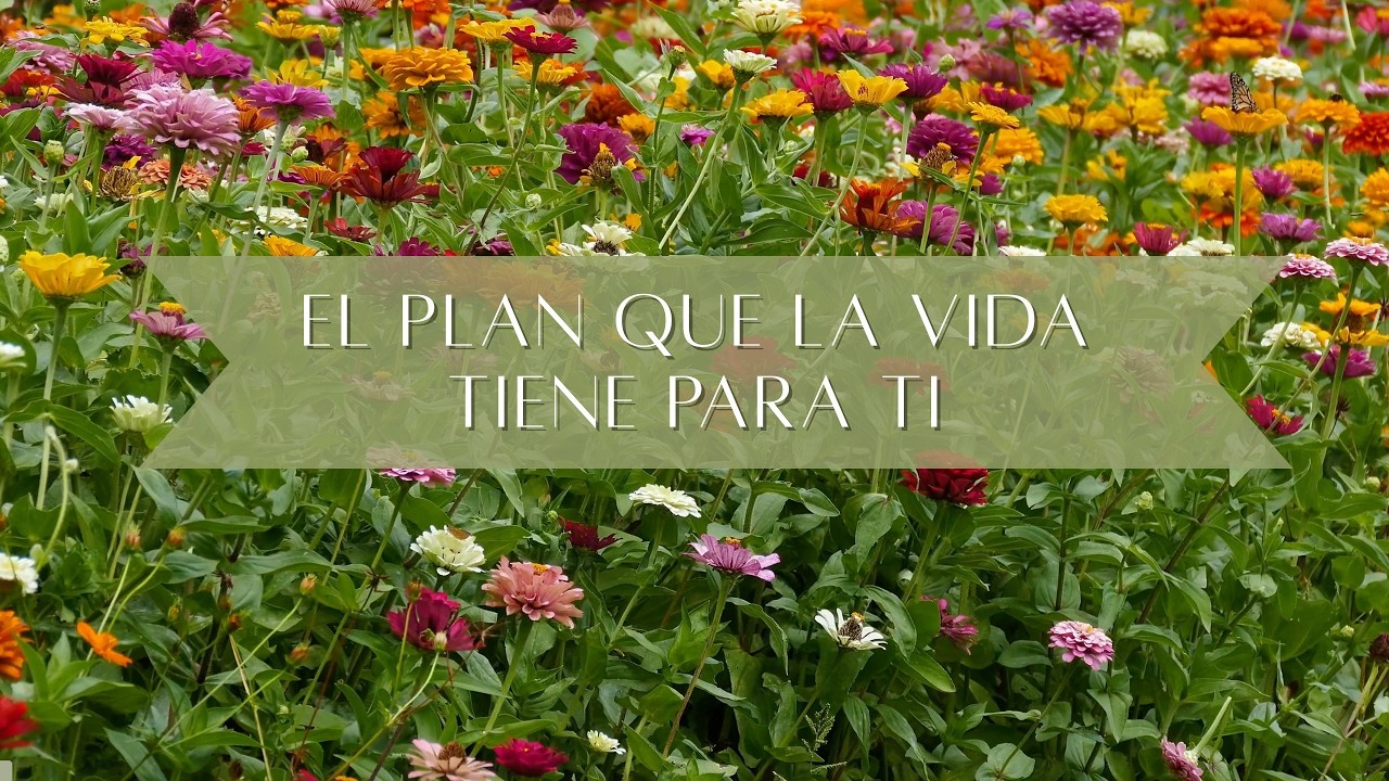 EL PLAN QUE LA VIDAA TIENE PARA TI - MENSAJES DORADOS 01 - FRECUENCIA DORADA