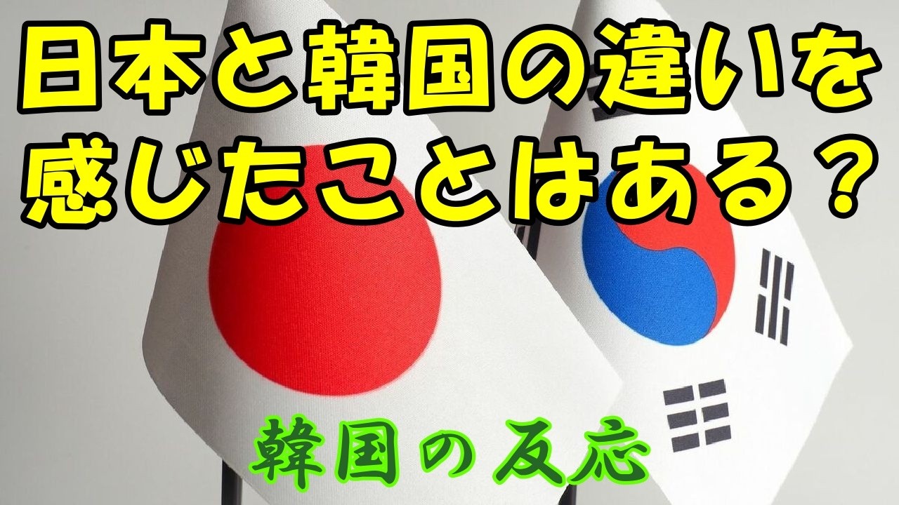 【韓国の反応】日本旅行に行って、韓国との違いを感じたことはある？【韓国人の反応・海外の反応・翻訳・解説】