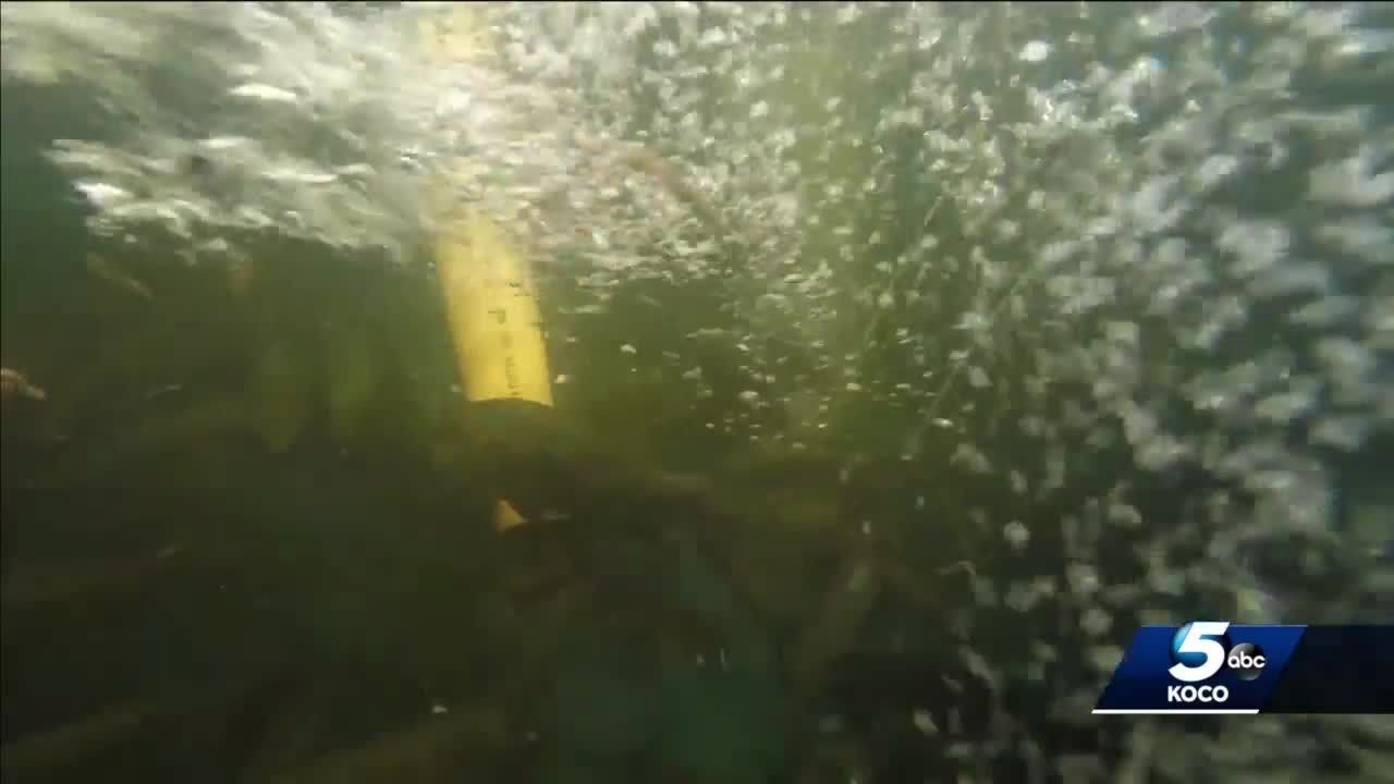 &lsquo;More organic way to grow our plants&rsquo;: Oklahoma business uses fish to grow marijuana