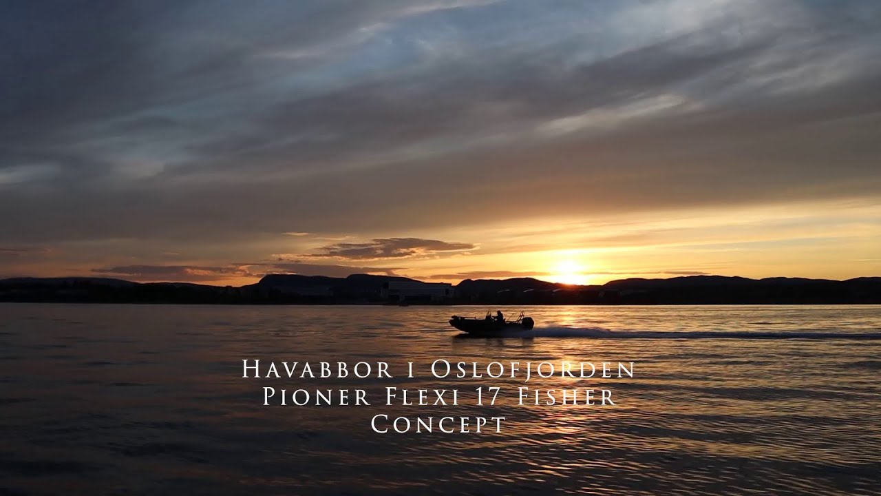 Seabass in the Oslofjord - Pioner 17 Flexi Fisher Concept