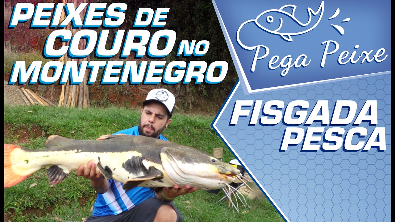 #4 PEIXES DE COURO NO MONTENEGRO