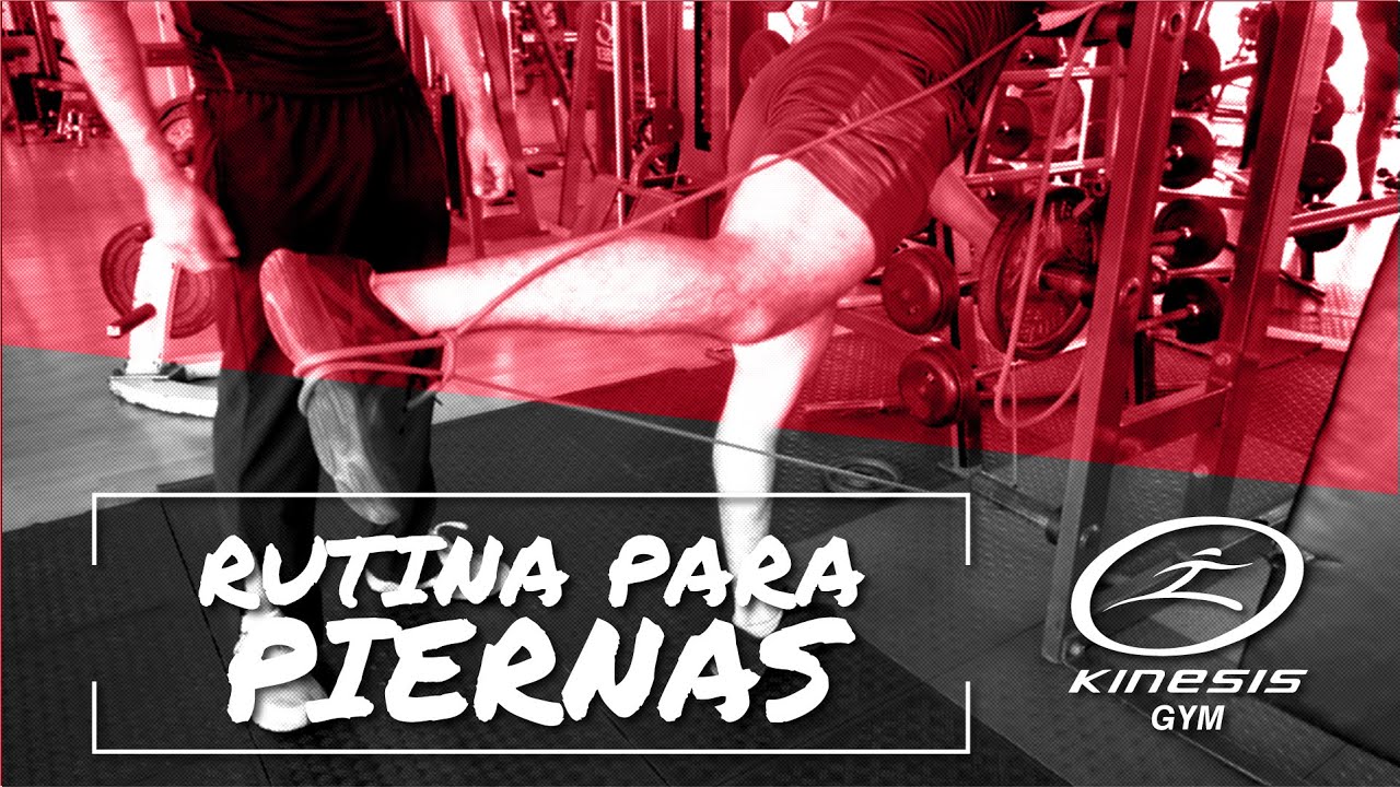 Rutina de Ejercicios para PIERNAS con ligas en Casa 🏋🏻‍♂️ 🏡