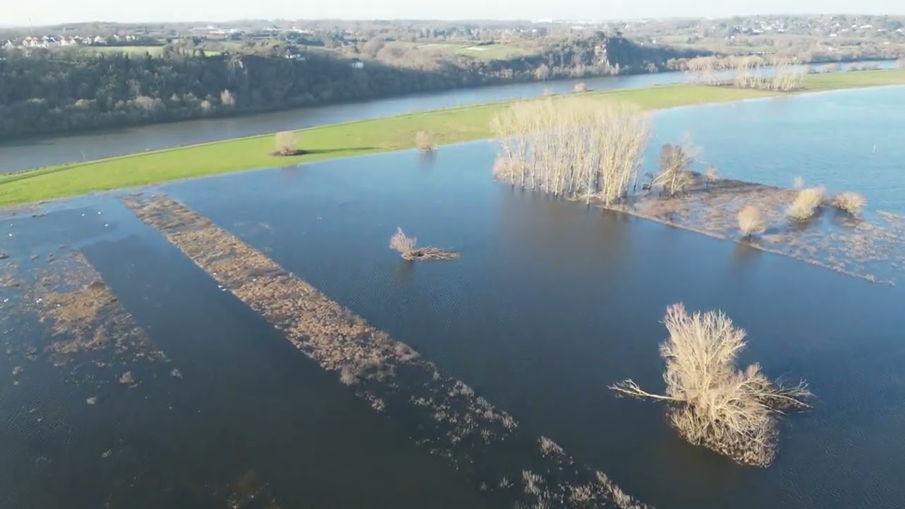 Quand la Maine (Maine et Loire) et les champs s'unissent
