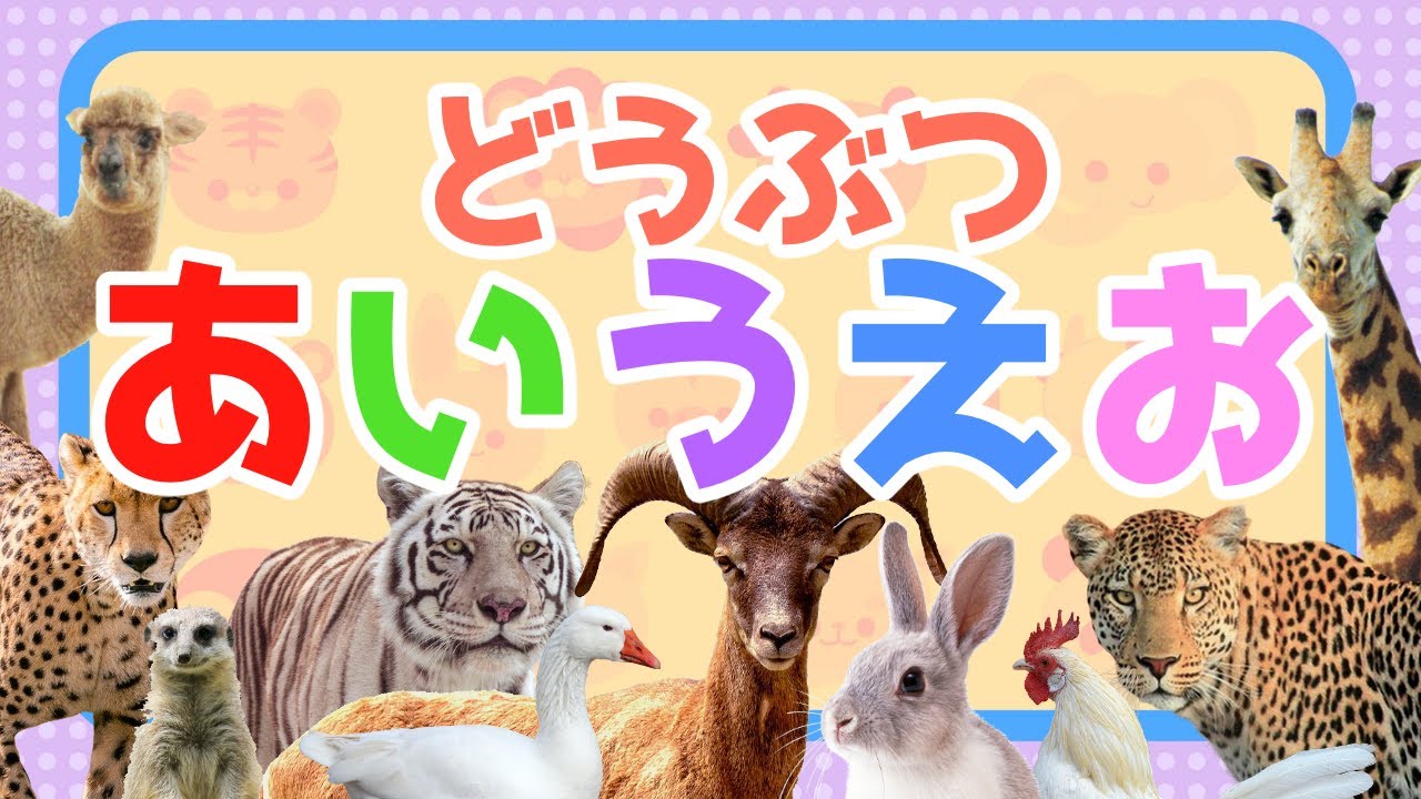 【楽しく♪ひらがな】★どうぶつ あいうえお★動物の写真がいっぱい！