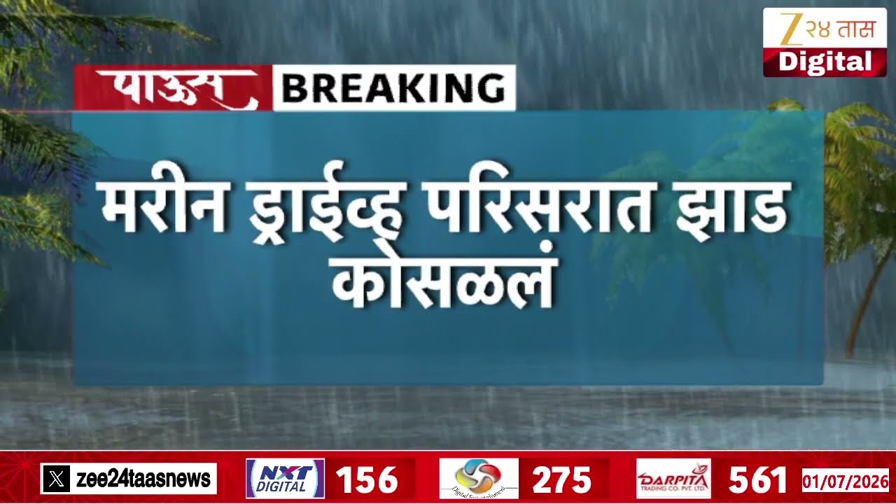 Mumbai Marine Drive Tree Uprooted From Heavy Winds |मरीन ड्राईव्ह परिसरात झाड कोसळलं