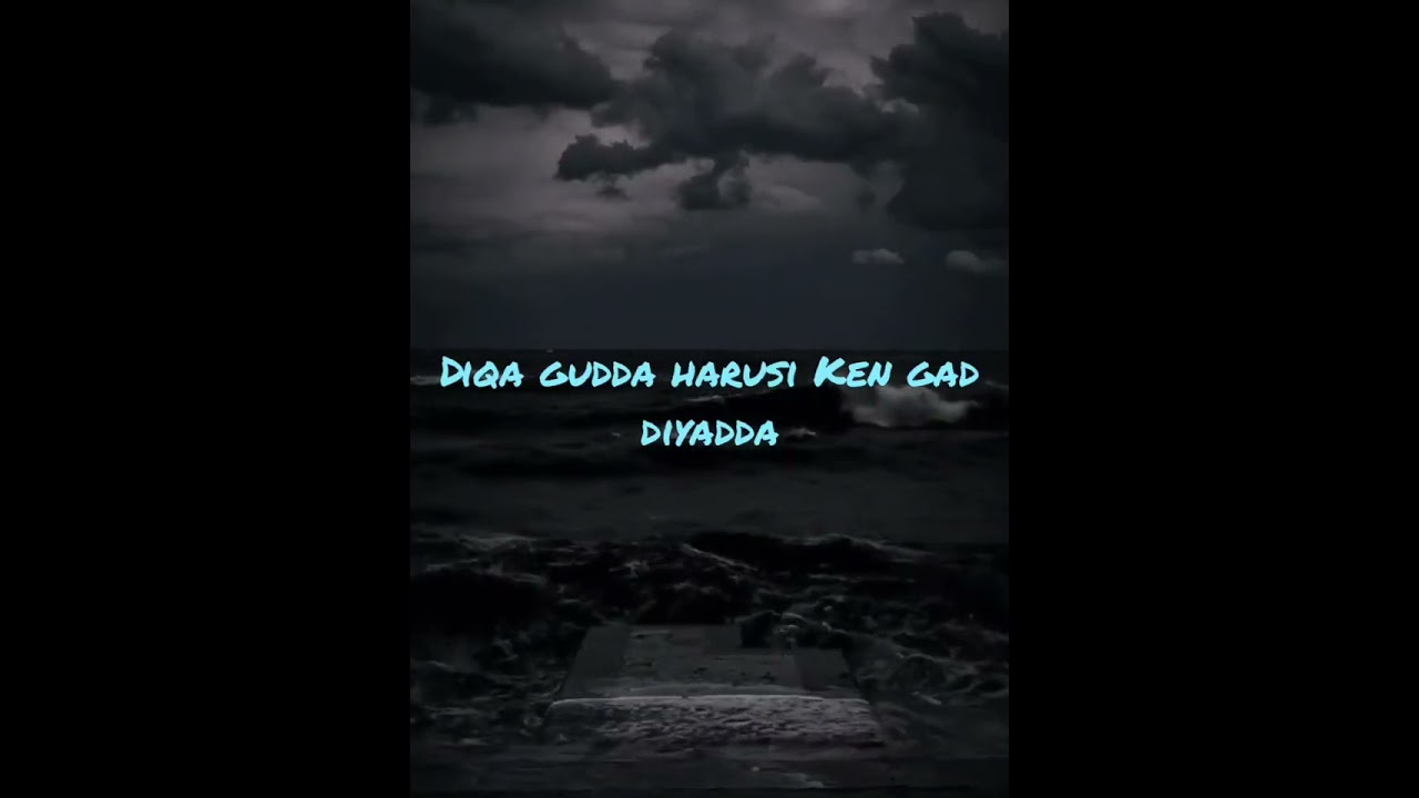 Boneyow Sanja_ New Orma Borana Garre Wedding Song _ Mandera Siibaana #love #oromomusic #wedding