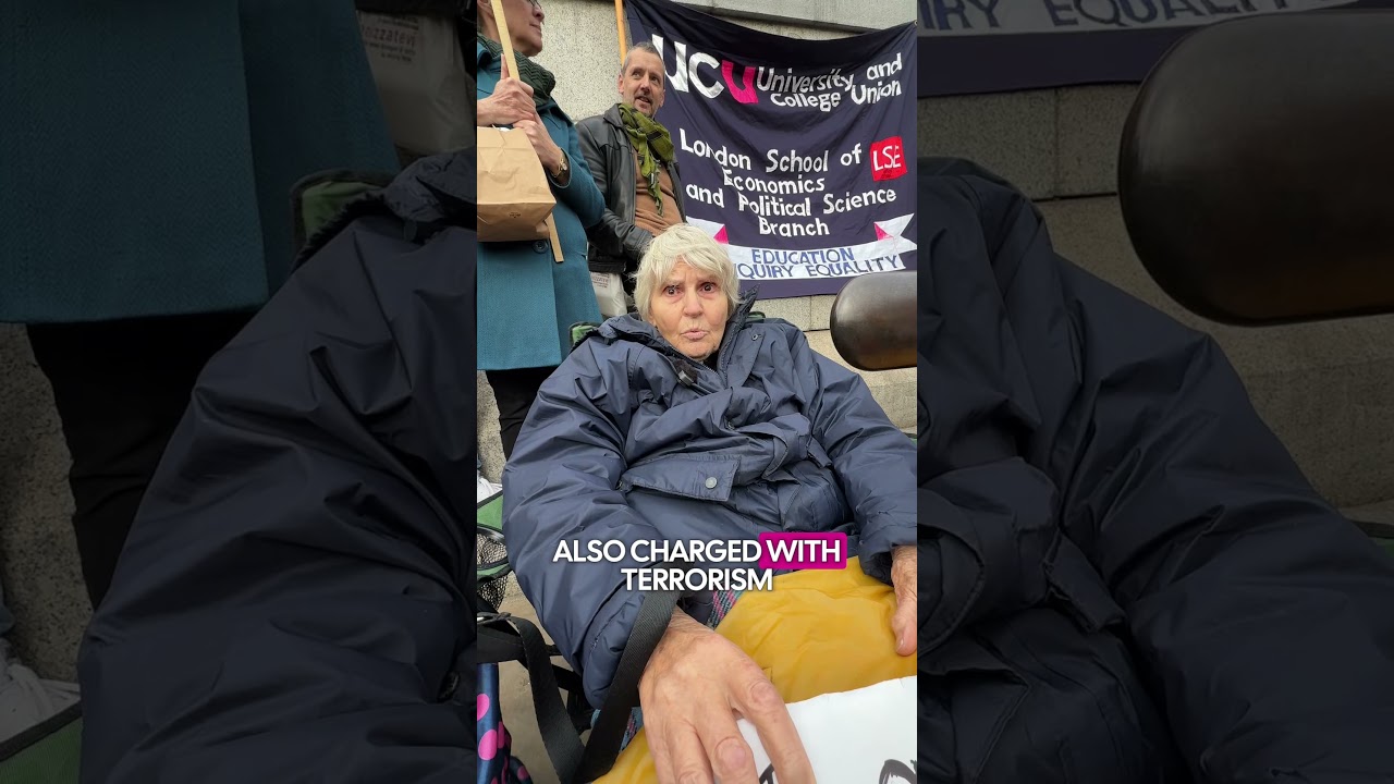 83-year-old Reverend Sue Parfitt arrested mid-interview for holding a sign