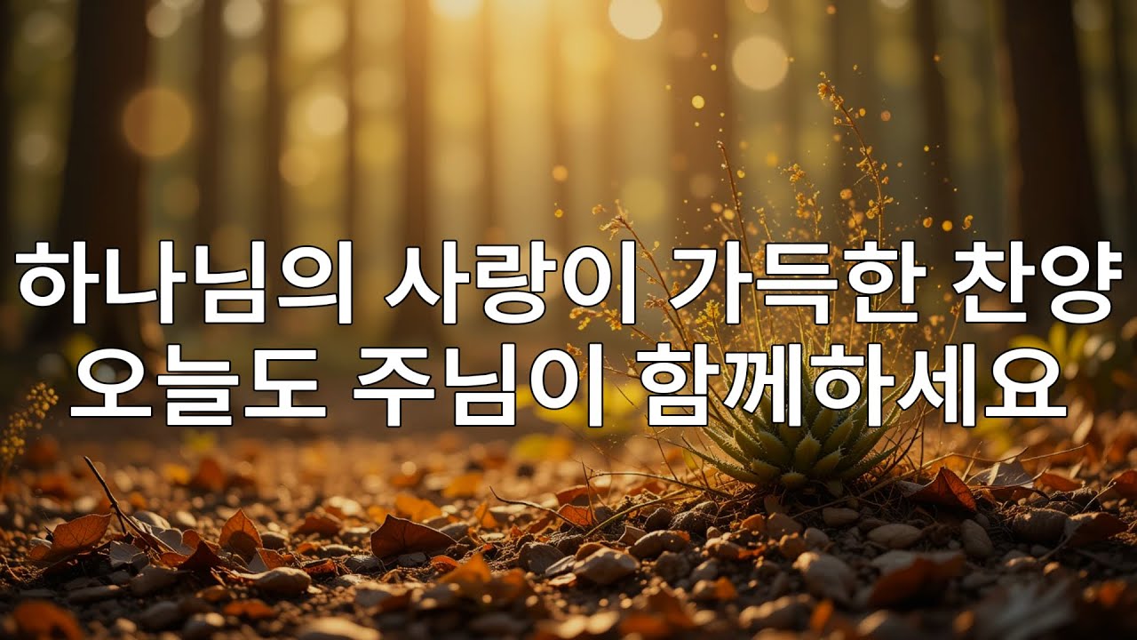 🙌🏻🔥[CCM 모음집 2025] 매일 하나님의 평안을 느낄 수 있는 최고의 찬양 20곡 – 하나님의 사랑 안에서 기쁨으로 하루를 시작해 보세요